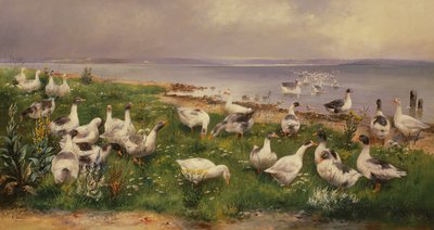 Ganzen door Alfred Schonian