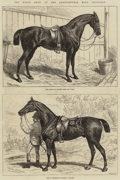 De paardenshow in de Agricultural Hall, Islington door Alfred Sheldon Williams