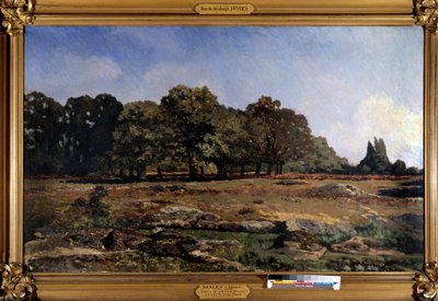 Laan van kastanjebomen naar de Celle Saint Cloud door Alfred Sisley door Alfred Sisley