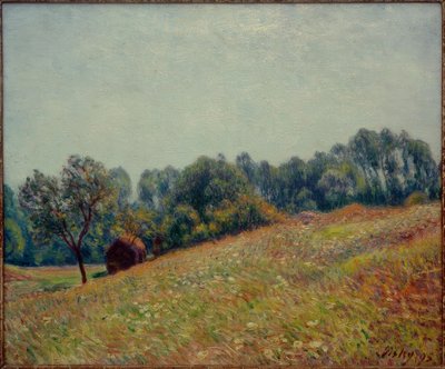 Het dal door Alfred Sisley