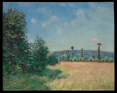 De weiden van Sahurs in de ochtendzon door Alfred Sisley