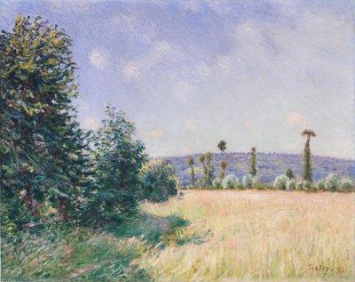 Sahurs-weiden in de ochtendzon, 1894 door Alfred Sisley