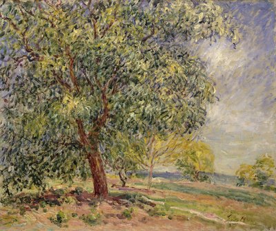 Walnotenboom in Sablons in de lente, 1885 door Alfred Sisley