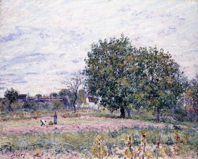 Walnootbomen, Effect van de Ondergaande Zon - Eerste Dag van Oktober, 1882 door Alfred Sisley