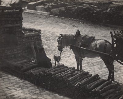  door Alfred Stieglitz