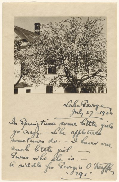 [Appelbloesems]. door Alfred Stieglitz