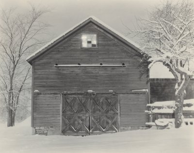 Kinderen  Sneeuw door Alfred Stieglitz