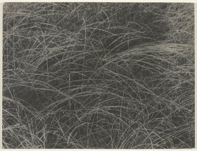 Equivalent door Alfred Stieglitz