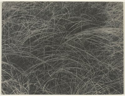 Equivalent, 1927 door Alfred Stieglitz