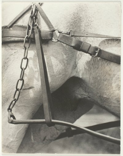 Equivalent, Spiritueel Amerika door Alfred Stieglitz