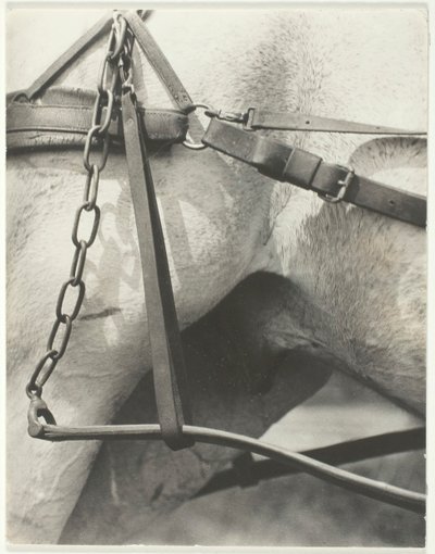 Equivalent, Spiritueel Amerika, 1923 door Alfred Stieglitz