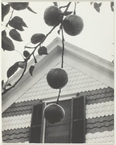 Gevel en Appels door Alfred Stieglitz