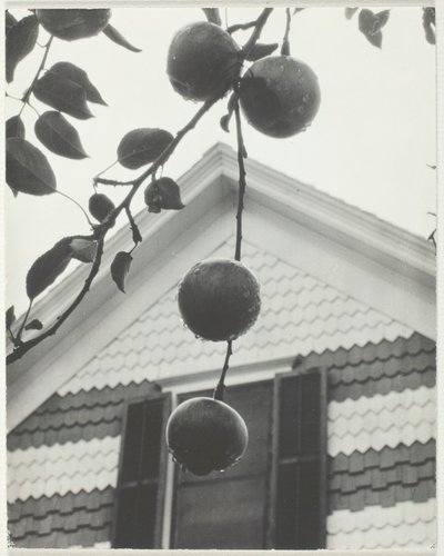 Goot en appels, 1922 door Alfred Stieglitz
