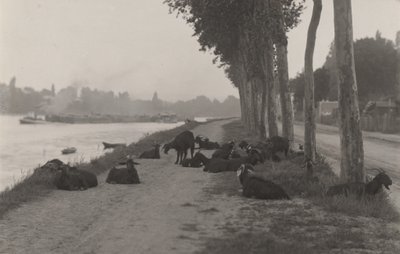  door Alfred Stieglitz