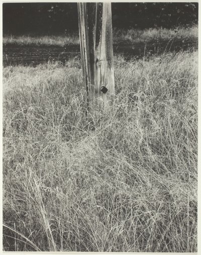 Gras en vlaggenstok door Alfred Stieglitz
