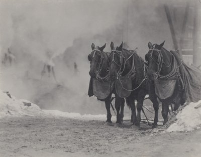  door Alfred Stieglitz