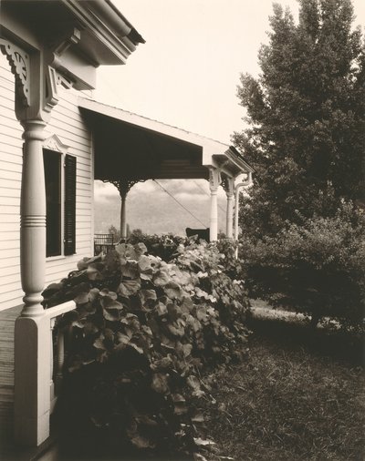 Huis en druivenbladeren door Alfred Stieglitz