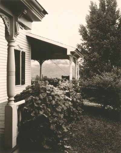 Huis en Druivenbladeren door Alfred Stieglitz