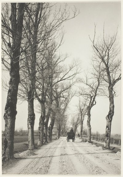Novemberdagen door Alfred Stieglitz
