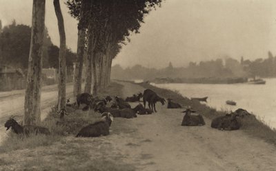  door Alfred Stieglitz