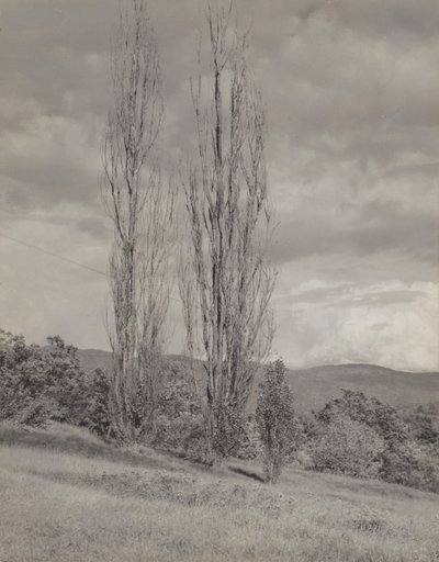  door Alfred Stieglitz