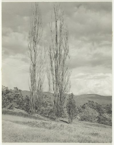 Populieren Lake George door Alfred Stieglitz