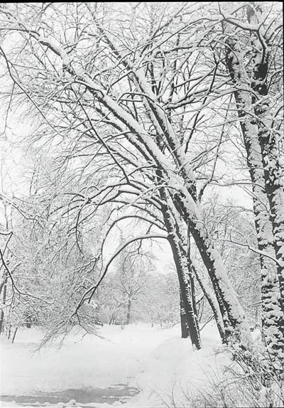 Sneeuwlandschap, Berlijn door Alfred Stieglitz