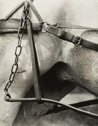Spiritueel Amerika: Liederen van de lucht A1 door Alfred Stieglitz