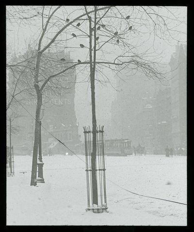 Boom in sneeuw, New York door Alfred Stieglitz