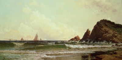Kliffen bij Cape Elizabeth, Portland Harbour, Maine, 1882 door Alfred Thompson Bricher