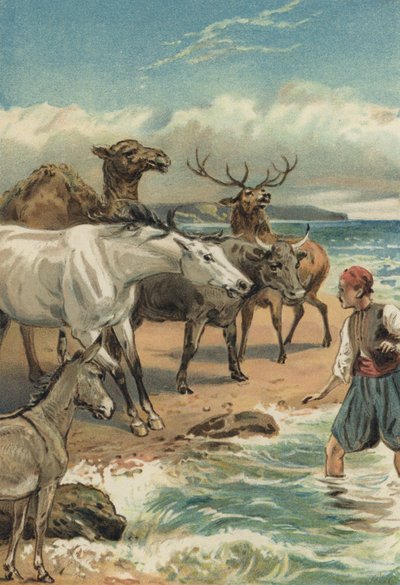 Arabische Nachten: De Geschiedenis van Beder en Giauhare door Alfred W. Cooper