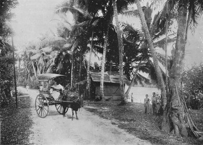 Weg naast de Kelaniya-rivier door Alfred William Amandus Plate