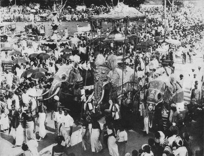 Heilige olifant in de Perahera-processie, Kandy, Ceylon, c1890, 1910 door Alfred William Amandus Plate