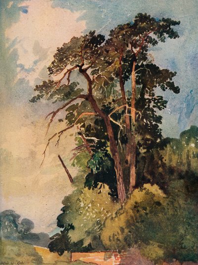 Studie van bomen, ca. 1880 door Alfred William Rich