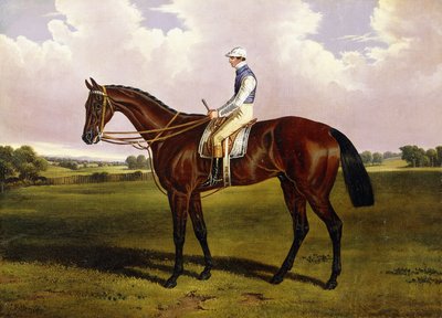 Bloomsbury, een kastanjebruin renpaard met Sam Templeman in een landschap door Alfred de Prades