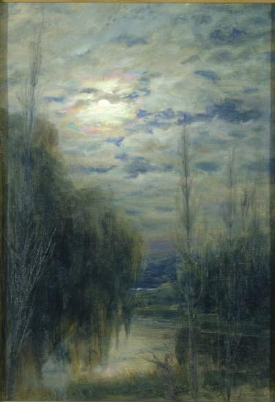 Volle maan, Limache, Chili door Alfredo Helsby