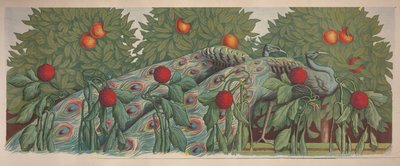 Les Paons, 1903 door Alfredo Müller