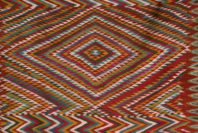 Tapijt uit de Mzab vallei, detail door Algerian School