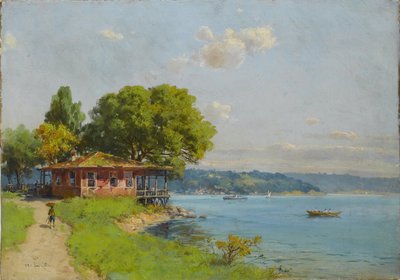 Istanbul door Ali Riza Hoca