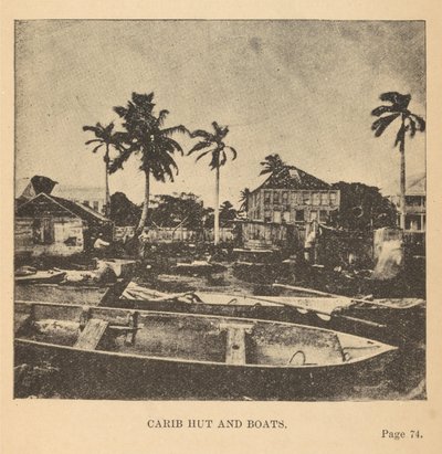 Caribische hut en boten door Alice D. Le Plongeon