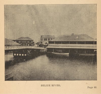 Belize-rivier door Alice Dixon Le Plongeon