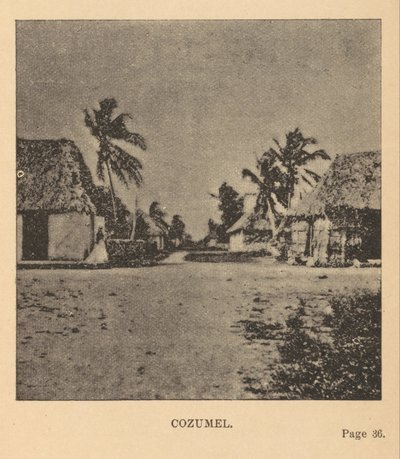Cozumel door Alice Dixon Le Plongeon