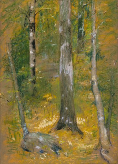 Onteora door Alice Pike Barney