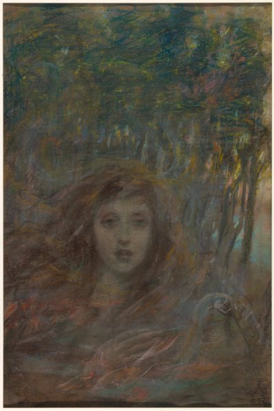 Visie door hout door Alice Pike Barney