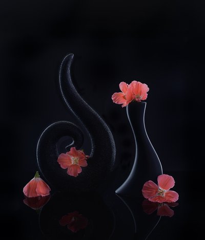  door Alice Sheng