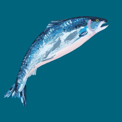 Sprongende blauwe zalm door Alice Straker