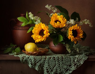  door Alina Lankina