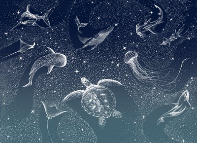 Hemelachtig zeeleven door Alirıza ÇAKIR