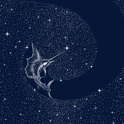 Hemelse zeilvis door Alirıza ÇAKIR