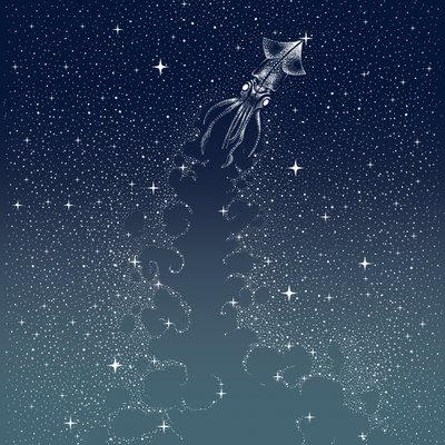 De vlucht van de hemelse inktvis door Alirıza ÇAKIR